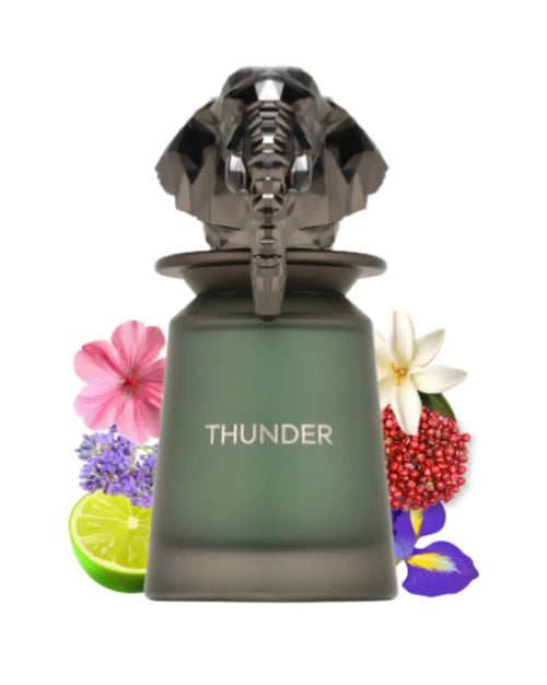 French Avenue Thunder (100ml) – Eaux de Parfum, flacon